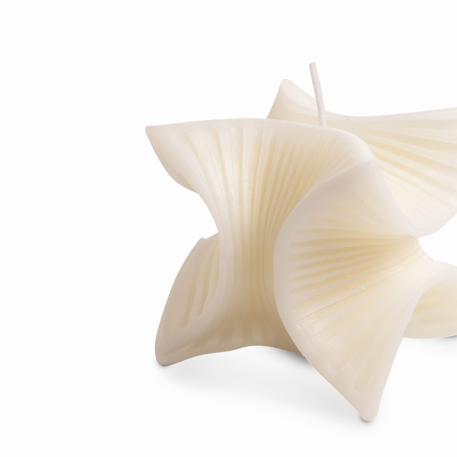 Vela Curva 7.5Cm - Ambiente Gourmet México