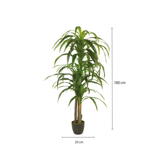 Yuca Artificial 180 cm - Ambiente Gourmet México